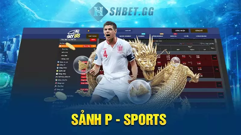 Sky88 thể thao - Địa chỉ cá cược nhận thưởng uy tín số 1 5 Sảnh P - SPORTS