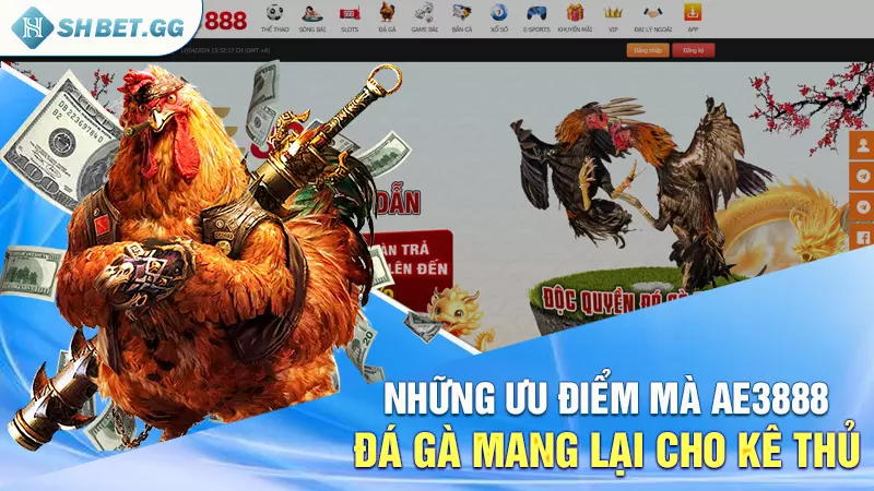 Ae3888 đá gà - Thiên đường đấu kê cho anh em hot năm 2024 3 Những ưu điểm mà ae3888 đá gà mang lại cho kê thủ