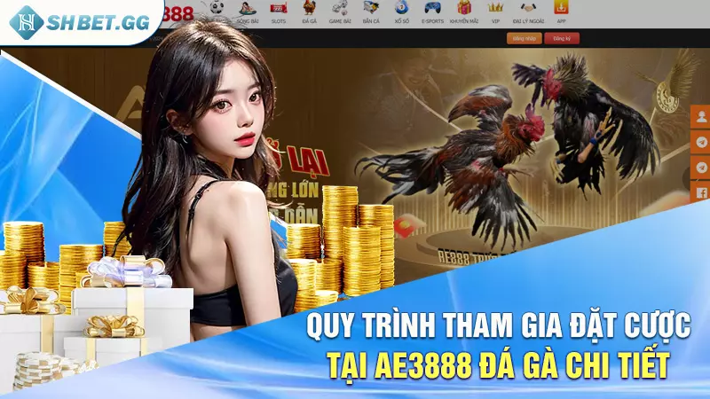 Ae3888 đá gà - Thiên đường đấu kê cho anh em hot năm 2024 4 Quy trình tham gia đặt cược tại ae3888 đá gà chi tiết