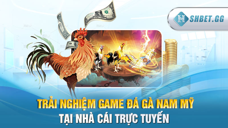 Gà chọi Nam Mỹ: Giống gà đá hay nhất được ưa chuộng 6 Trải nghiệm game đá gà Nam Mỹ tại nhà cái trực tuyến