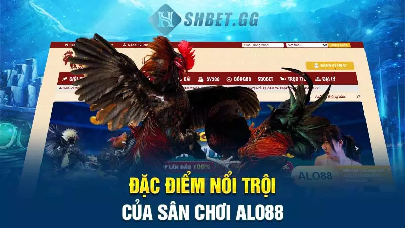 Alo888 - Cổng cá cược xanh chín, chất lượng tại Việt Nam 4 Đặc điểm nổi trội của sân chơi Alo888